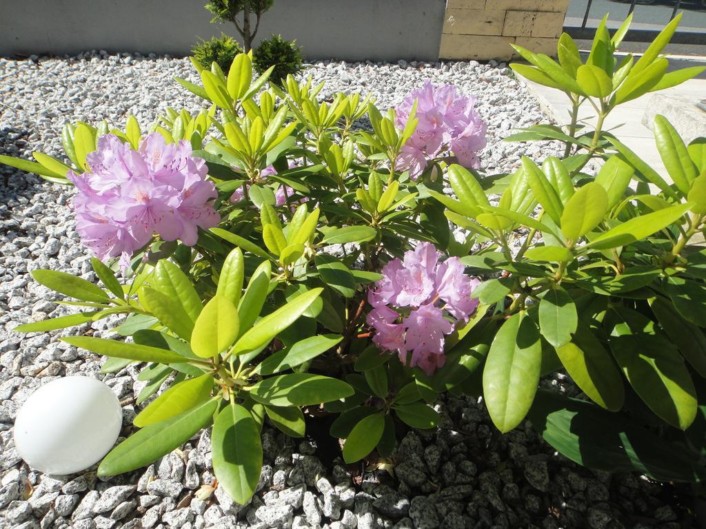 Am Sonnenberg *